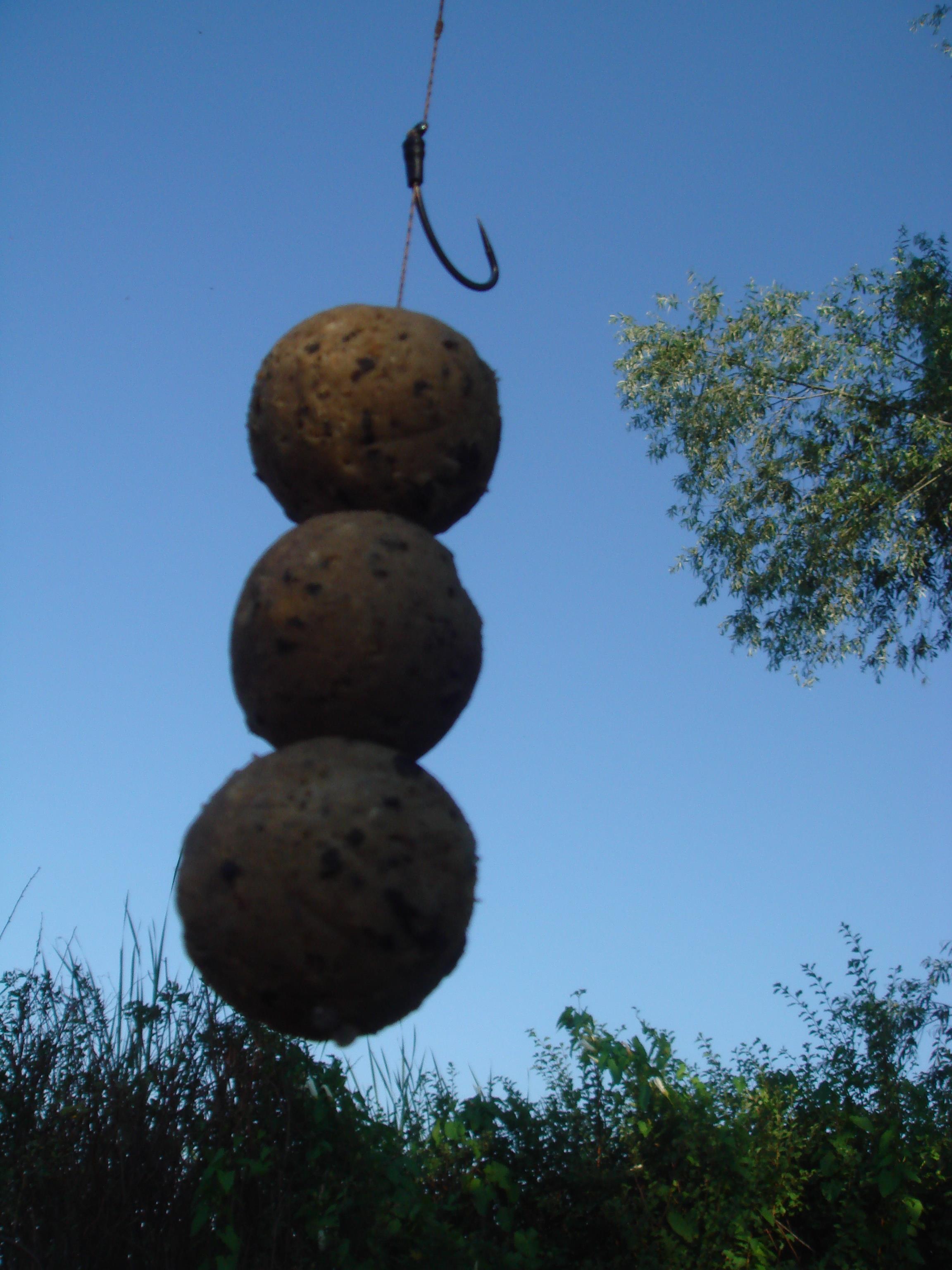 Nagykallo 2011 - DSC08502.JPG